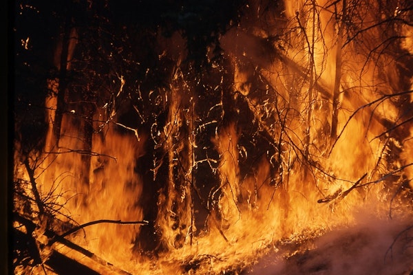 Wildfires and Hailstorms Drive $100B in Insured Losses Again in 2025